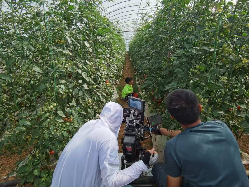 鸠江区产品宣传视频拍摄公司进阶指南，助力品牌抢占传播高地